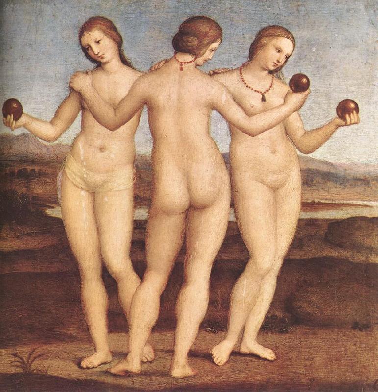 RAFFAELLO Sanzio The Three Graces F oil painting picture